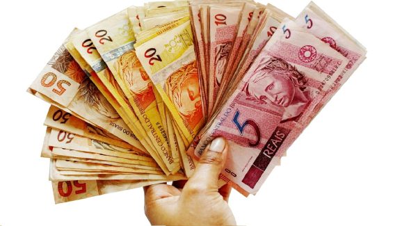 Money Magnet plants: ఈ మొక్కలు డబ్బు అయస్కాంతాలు, ఇంట్లో నాటితే సంపదే సంపద