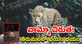 Illu Illalu Pillalu Today Episode: నర్మదకు భాగ్యం స్ట్రాంగ్ వార్నింగ్.. శ్రీవల్లి టార్చర్ స్టార్ట్.. ప్రేమకు మైండ్ బ్లాక్..