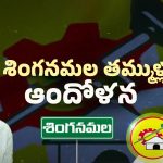 Singanamala Politics: గాడిలో పెడతారా? వదిలేస్తారా? బండారు శ్రావణిపై బాబు ప్లాన్ ఏంటి?