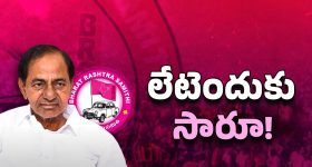 BRS Party Future: బీఆర్ఎస్ గ్రాఫ్ పడిపోతుందా?