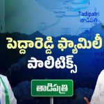 Tadipatri Politics: పెద్దారెడ్డి కోడలు ఎంట్రీ.. తాడిపత్రిలో సీన్ రివర్స్