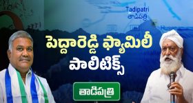 Tadipatri Politics: పెద్దారెడ్డి కోడలు ఎంట్రీ.. తాడిపత్రిలో సీన్ రివర్స్