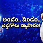 IVF and Fertility Centre: IVF, సరోగసీ పేరుతో జరిగే మోసలేంటి? అధికారులు ఏమంటున్నారు?