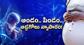 IVF and Fertility Centre: IVF, సరోగసీ పేరుతో జరిగే మోసలేంటి? అధికారులు ఏమంటున్నారు?