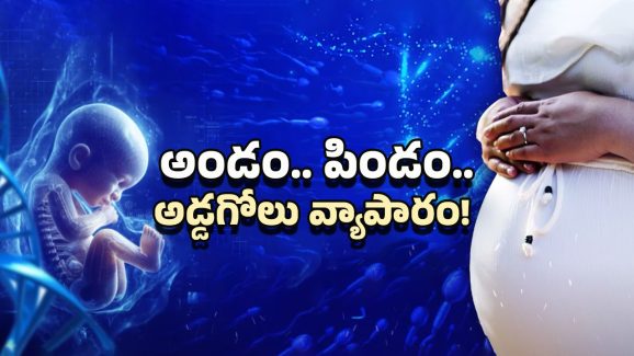 IVF and Fertility Centre: IVF, సరోగసీ పేరుతో జరిగే మోసలేంటి? అధికారులు ఏమంటున్నారు?