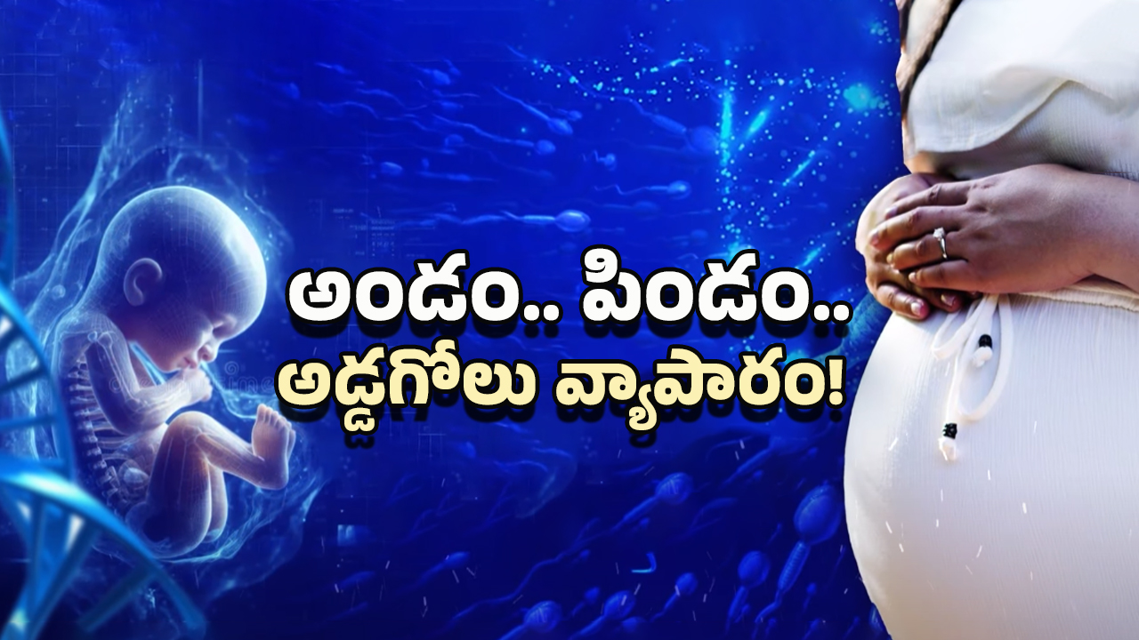 IVF and Fertility Centre: IVF, సరోగసీ పేరుతో జరిగే మోసలేంటి? అధికారులు ఏమంటున్నారు?