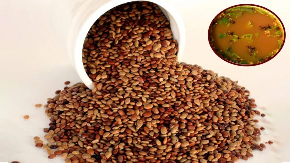 Horse Grams: వారెవ్వా.. వీటిని తింటే రేసు గుర్రానికి ఉన్నంత బలం మీకు వస్తుంది
