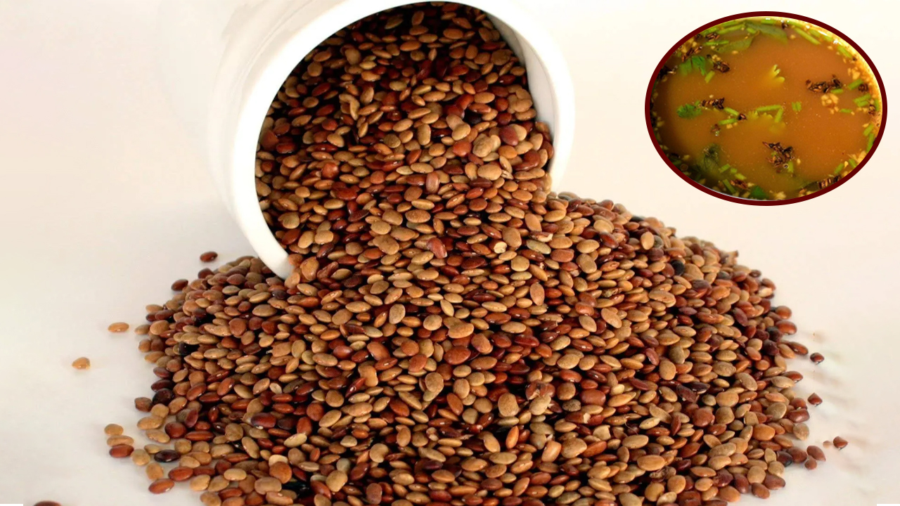 Horse Grams: వారెవ్వా.. వీటిని తింటే రేసు గుర్రానికి ఉన్నంత బలం మీకు వస్తుంది