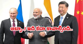 Kohli - Vanga Sandeep: విరాట్ కోహ్లీ బయోపిక్ తీయనున్న   సందీప్ రెడ్డి.. ఇండియా షేక్ కావాల్సిందే.. 100 కిస్సులు, 1000 రొమాంటిక్ సీన్స్?