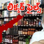 AP Liquor Scam: ఏపీ లిక్కర్ స్కాంలో కొత్త పేర్లు ..