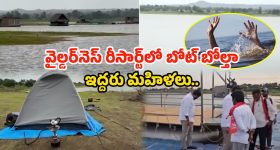 Pumpkin Seeds: రోజూ ఒక స్పూన్ గుమ్మడి గింజలు తింటే.. వ్యాధులు రమ్మన్నా రావు