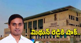 Mithun Reddy: ఏపీ హైకోర్టులో ఎంపీ మిథున్ రెడ్డికి ఎదురుదెబ్బ.. నెక్ట్స్ అరెస్టేనా?