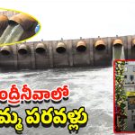 Handri-Neeva Project: హంద్రీనీవాకు నీటి విడుదల..రాయలసీమ రైతుల కల నెరవేరిన వేళ