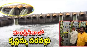 Handri-Neeva Project: హంద్రీనీవాకు నీటి విడుదల..రాయలసీమ రైతుల కల నెరవేరిన వేళ