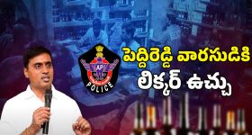 AP Liquor Scam Case: మిథున్‌రెడ్డి‌ అడ్డంగా బుక్ అయినట్లేనా?
