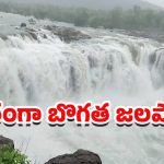 Bogatha Waterfalls: బొగత జలపాతం ఉగ్రరూపం.. సందర్శకులకు నో ఎంట్రీ