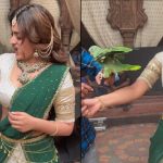Nidhhi Agerwal: హరి హర వీరమల్లు సెట్ లో చిలుకతో ఆటలు.. చేయి కోరకడంతో విలవిల్లాడిన నిధి..