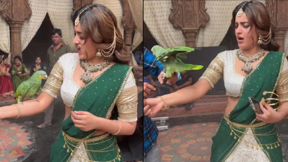 Nidhhi Agerwal: హరి హర వీరమల్లు సెట్ లో చిలుకతో ఆటలు.. చేయి కోరకడంతో విలవిల్లాడిన నిధి..