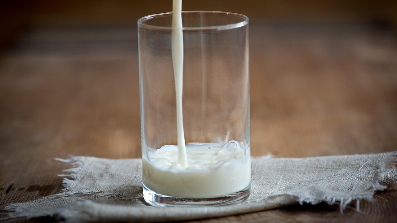 Non veg milk: నాన్ వెజ్ పాలు మనకి అమ్మేందుకు ప్రయత్నిస్తున్న అమెరికా, నాన్ వెజ్ పాలు అంటే ఏమిటి?
