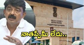 Ysrcp: వివాదాస్పద వ్యాఖ్యలు.. న్యాయస్థానానికి పేర్నినాని