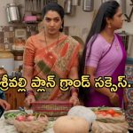Illu Illalu Pillalu Today Episode: వేదవతిని బుట్టలో వేసుకొనేందుకు శ్రీవల్లి ప్లాన్.. ధీరజ్ కు ప్రేమ దూరం..