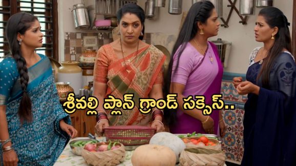Illu Illalu Pillalu Today Episode: వేదవతిని బుట్టలో వేసుకొనేందుకు శ్రీవల్లి ప్లాన్.. ధీరజ్ కు ప్రేమ దూరం..