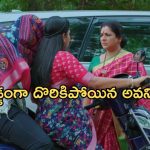 Intinti Ramayanam Today Episode: పల్లవి ప్లాన్ మళ్లీ ఫెయిల్.. పార్వతికి దొరికిన అవని..