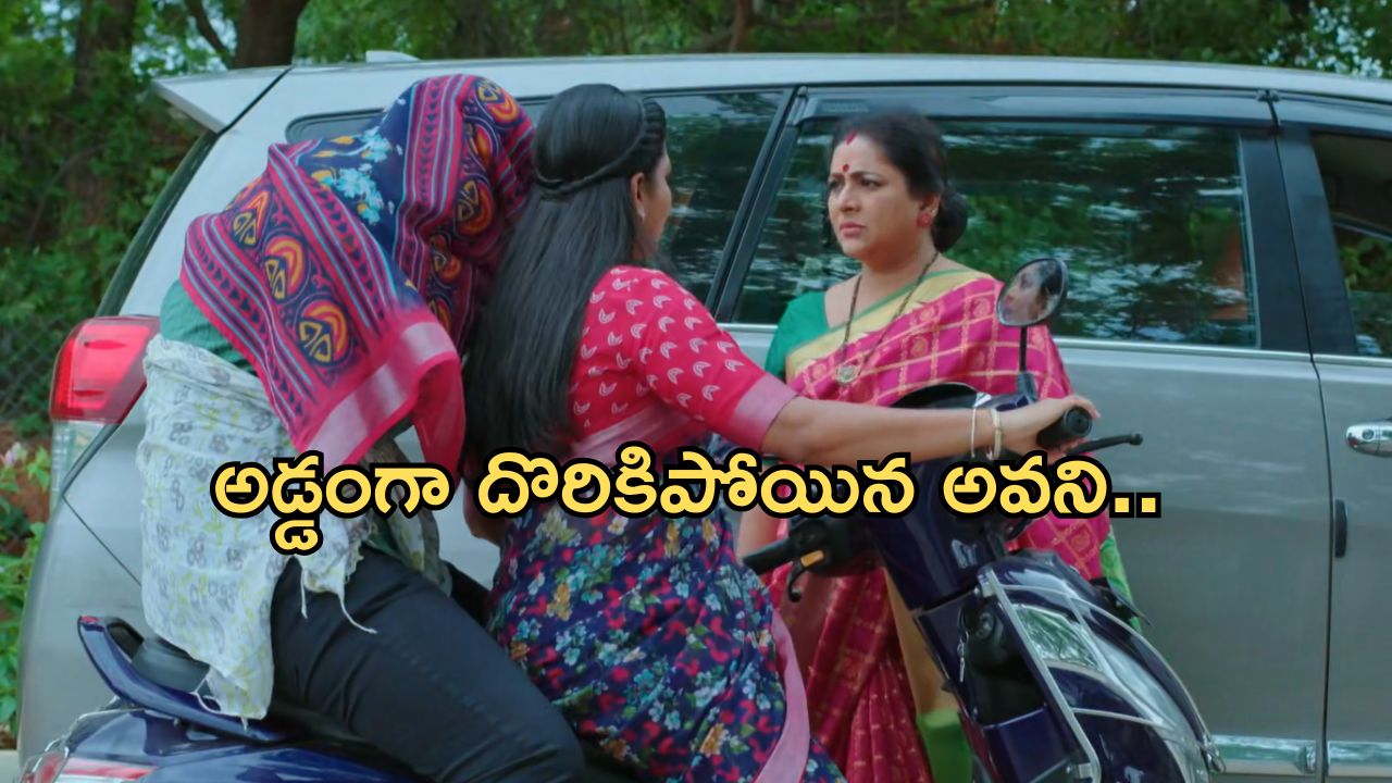 Intinti Ramayanam Today Episode: పల్లవి ప్లాన్ మళ్లీ ఫెయిల్.. పార్వతికి దొరికిన అవని..