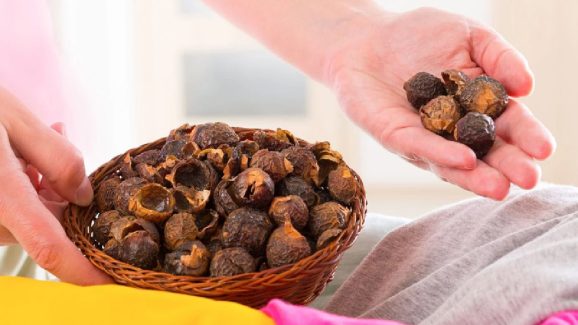 Soap nuts: జుట్టు పొడవుగా పెరగాలా? అయితే కుంకుడు కాయలతో ఇలా నూనెను తయారు చేసి వాడండి