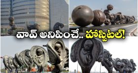Mustard Oil For White Hair: ఆవాల నూనె ఇలా వాడితే.. తెల్ల జుట్టు జన్మలో రాదు