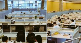 Snake Island: అక్కడ ప్రతి చదరపు మీటరుకు ఒక పాము,  మనిషి అడుగుపెడితే బతకడం కష్టమే