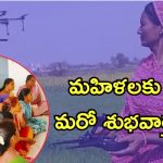 Telangana Drone Didi Scheme: మహిళలకు తీపి కబురు.. ఇక వారికి డబ్బే డబ్బు