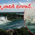 America: విషాదంగా విహారయాత్ర.. అమెరికాలో తెలుగు విద్యార్థి మృతి