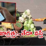 Vegetable Vendor: కూరగాయలు అమ్మేవాడికి ఝలక్.. రూ. 29 లక్షల నోటీసు, చిరు వ్యాపారులు అలర్ట్