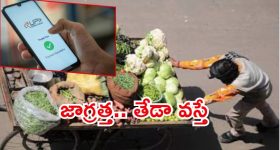 MS Dhoni : మరో భయంకరమైన జట్టును తయారు చేస్తున్న MS ధోని.. ఇక ప్రత్యర్ధులకు నరకమే