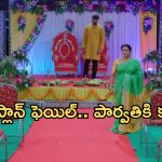 Intinti Ramayanam Today Episode:  భరత్ ను కొట్టిన పార్వతి.. రాజేంద్ర ప్రసాద్ షాకింగ్ నిర్ణయం..పార్వతికి అవని క్లాస్..
