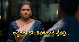 Intinti Ramayanam Today Episode: అవనిని గేంటేసిన పార్వతి.. భరత్, ప్రణతిలను విడగొట్టేందుకు పల్లవి ప్లాన్.. భానుమతికి వాతలు..