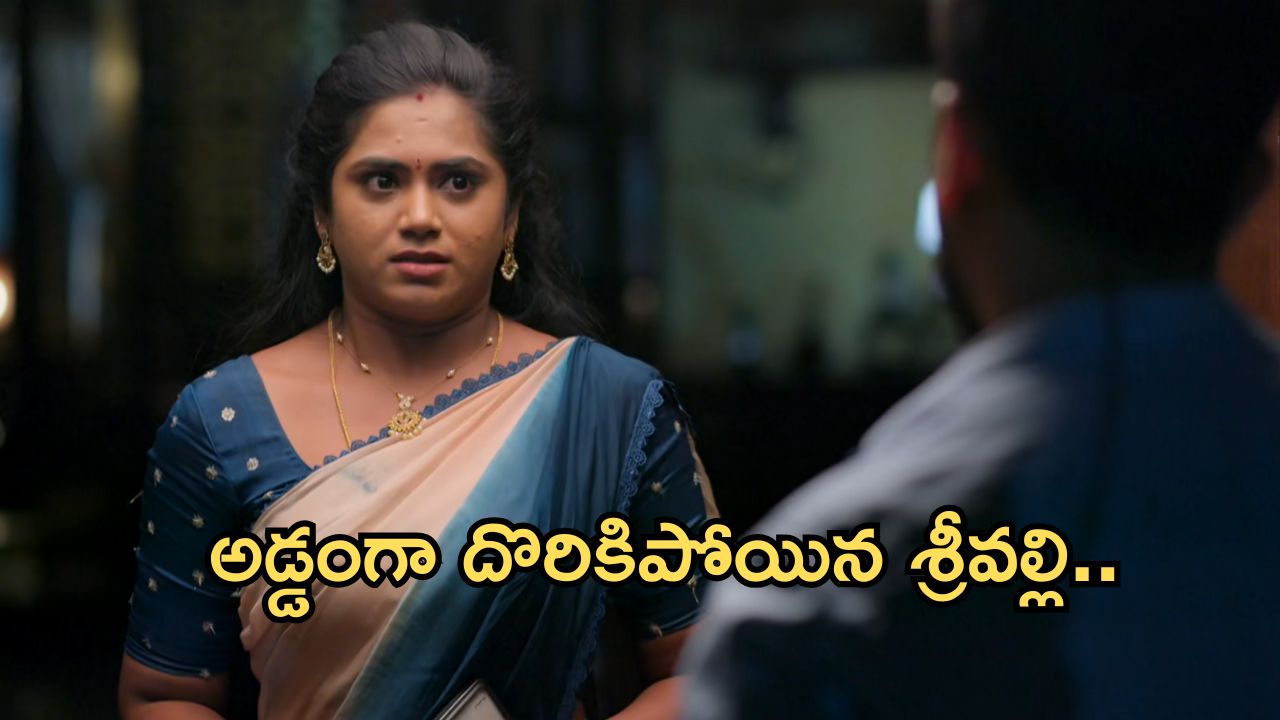 Illu Illalu Pillalu Today Episode: రామరాజు ఇంటికి దొంగగా వచ్చిన ఆనందారావు.. ధీరజ్ కు దొరికిన శ్రీవల్లి..
