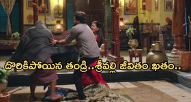 Illu Illalu Pillalu Today Episode: ధీరజ్, ప్రేమ గొడవ.. సాగర్, నర్మద సరసాలు.. శ్రీవల్లికి టెన్షన్..