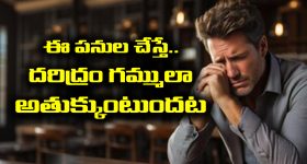 Eye Care: కంటి సమస్యలు రాకూడదంటే.. ఎలాంటి టిప్స్ పాటించాలి ?