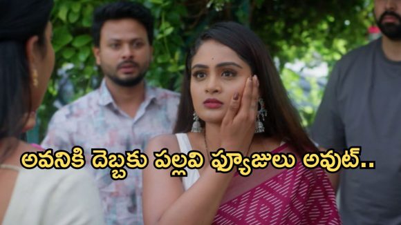 Intinti Ramayanam Today Episode: పల్లవి చెంప పగలగొట్టిన అవని.. తమ్ముడి కోసం అవని షాకింగ్ నిర్ణయం..