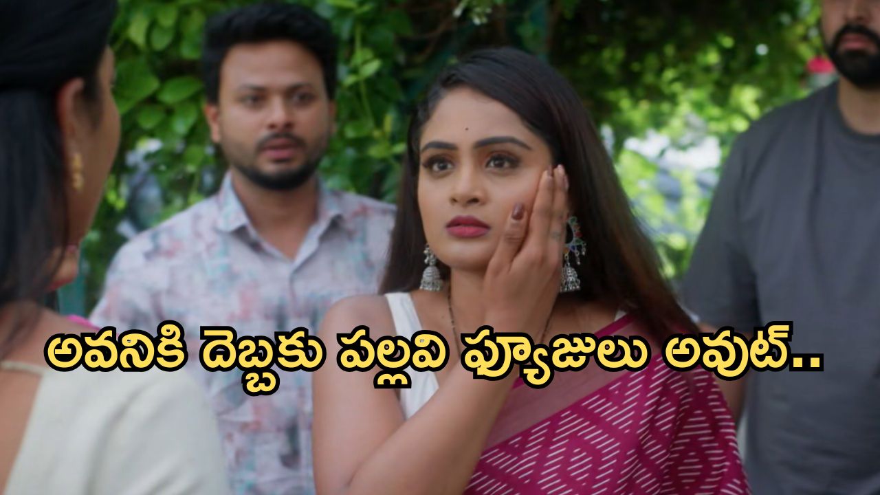 Intinti Ramayanam Today Episode: పల్లవి చెంప పగలగొట్టిన అవని.. తమ్ముడి కోసం అవని షాకింగ్ నిర్ణయం..