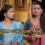 Illu Illalu Pillalu Today Episode: శ్రీవల్లికి దిమ్మతిరిగే షాక్.. నర్మద ప్లాన్ సక్సెస్.. చందును బురిడీ కొట్టించిన భాగ్యం..