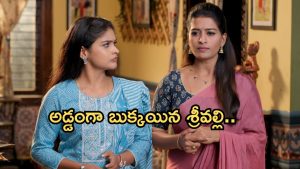 Illu Illalu Pillalu Today Episode: శ్రీవల్లికి దిమ్మతిరిగే షాక్.. నర్మద ప్లాన్ సక్సెస్.. చందును బురిడీ కొట్టించిన భాగ్యం..