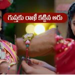 Nindu Noorella Saavasam Serial Today August 14th : ‘నిండు నూరేళ్ల సావాసం’ సీరియల్‌: గుప్తకు రాఖీ కట్టిన ఆరు
