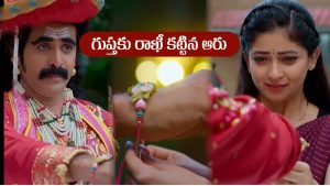 Nindu Noorella Saavasam Serial Today August 14th : ‘నిండు నూరేళ్ల సావాసం’ సీరియల్‌: గుప్తకు రాఖీ కట్టిన ఆరు