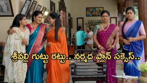 Illu Illalu Pillalu Today Episode: కామాక్షిని బుట్టలో వేసుకున్న భాగ్యం.. భాగ్యం ప్లాన్ సక్సెస్. శ్రీవల్లకి దూరమైన చందు..?