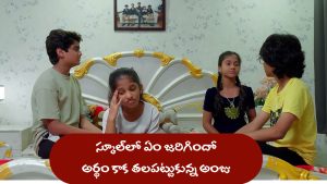Nindu Noorella Saavasam Serial Today August 2st : ‘నిండు నూరేళ్ల సావాసం’ సీరియల్‌: హ్యాపీ మూడ్‌లో ఆనంద్‌  