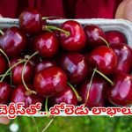 Benefits of Cherries: చెర్రీస్ తినడం వల్ల మతిపోయే లాభాలు !