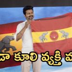 Thalapathy Vijay: ప్రాణం తీసిన జెండా, విజయ్ టీవీకే పార్టీ కి ఇబ్బందులు
